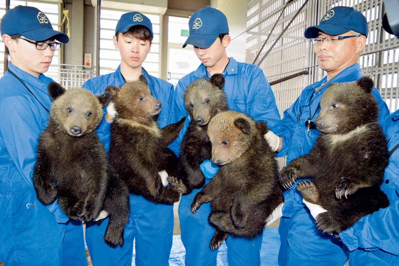 子グマ５頭すくすく成長 あすから一般公開－のぼりべつクマ牧場 | 全国郷土紙連合