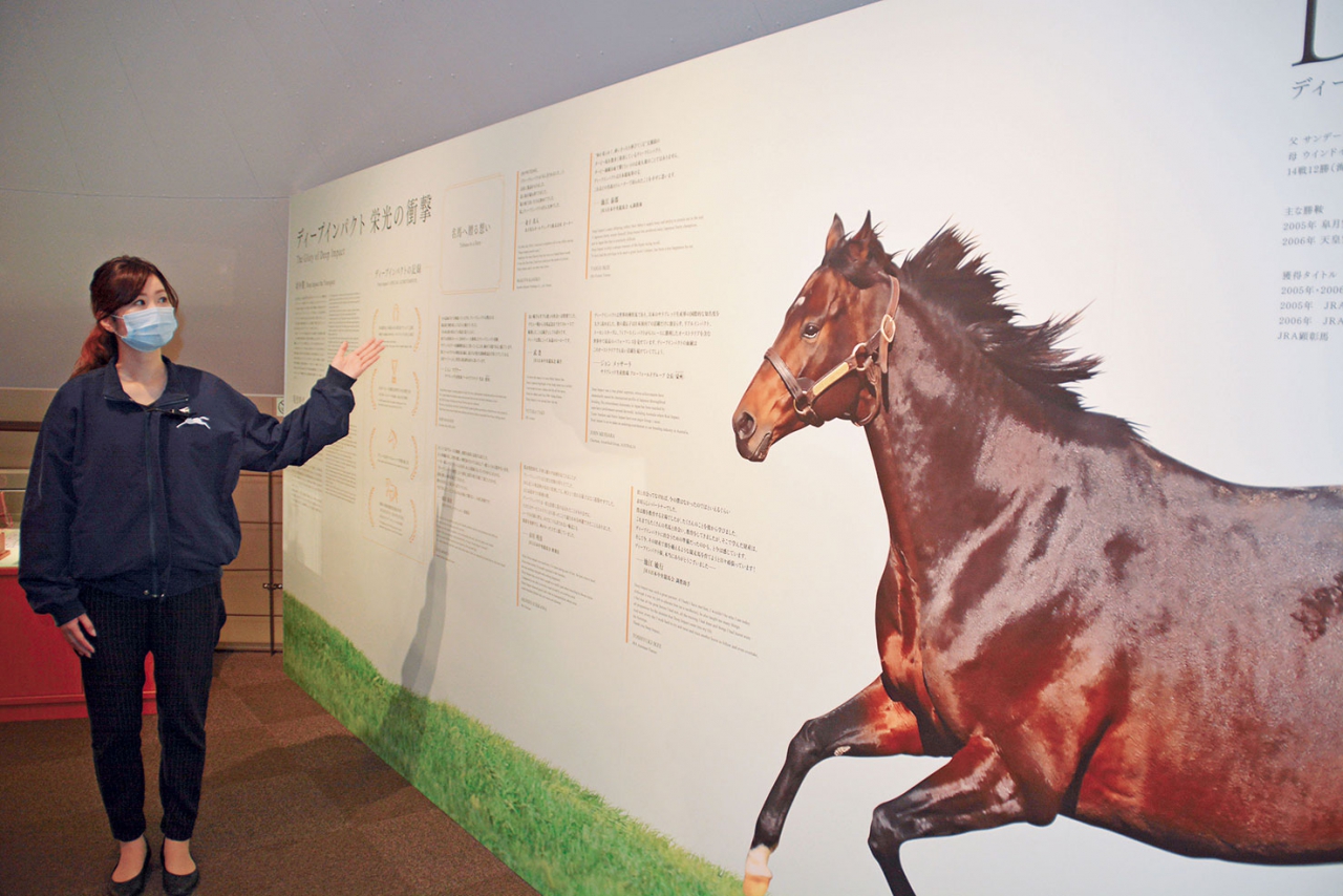 ディープインパクト たてがみ 鬣 遺髪 競馬 武豊 ダービー JRA ノーザンホースパーク ノーザンファーム 社台