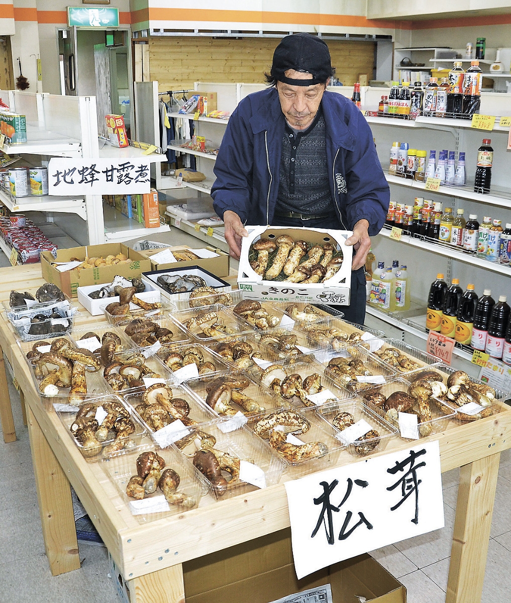 11 昼採り 松茸 257g 長野県 木曽マツタケ(マツタケ)｜売買されたオークション情報、yahooの商品情報をアーカイブ公開 - オークファン  マツタケ